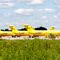 Where yellow airplanes go when they die