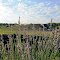 Peaceful Acres Lavender Farm, Earthship and Wellness center