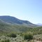 View from a Horse near Kremmling, CO