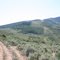 County Road 387 near Kremmling, CO