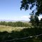 Edge of the Aspens