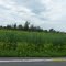 Canada US Border