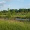 Woodbury, MN