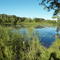 Summit Pointe Park, Woodbury M