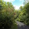 Kargel Park, Woodbury MN