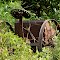 Old gin equipment