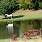 tractor & horse by a pond