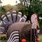 fall pics 9