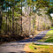 County Road 1511, Quitman, Ms.