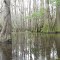 On Benton Lake canoe trail