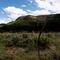 Near Monero, NM