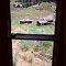 Ghost town, Rio Arriba County, 1983