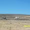 Fort McDermitt, NV: Young Riders, 2005