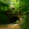 Old Champlain Canal water weir @ McDonald Creek