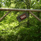 Russell State Park