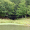 Foot bridge on trail in picnic area near the swim beach.