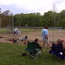 Thorton Park (Baseball Fields)