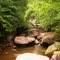 Richland Creek