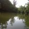A Quite Morning in a slew on the TN River 2