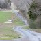 Hiwassee Island Refuge for Sandhill Cranes