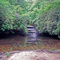 Small waterfall on Falling Water Branch