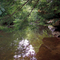 North Prong of Clear Fork Creek near Tinch Ford