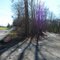 Colditz Cove / Northup Falls Entrance
