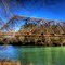 Shirley Bridge