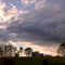 Kimesville Farm