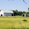 Old & Older Barns----st