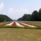 Great Memorial planting----st