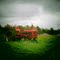 old red tractor on the lawn