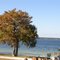 Camp Blanding lake view