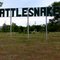 Rattlesnake, McLean, Texas