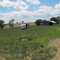 Old Farm