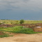 Auction Barn in Shamrock