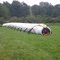 Giant caterpillar in Garrett county