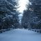 Winter in Garrett County: Rock Lodge Rd.