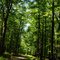State Park trails