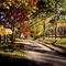 Road To Chanteclaire Farm