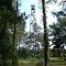 Old Cumberland Co fire tower on #53---st