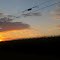 Sunset on the Corn