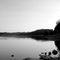 Rough River