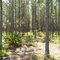 Hinesville sandy road