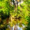 Clarks Mill Pond