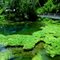 Magnolia Springs State Park