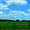 Georgia Countryside