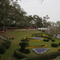 Orton in bloom