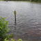 Posted for a reason ... Namely the curious gator (bottom of sign) and several of his buddies nearby ...