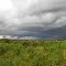 A Dead Wall Cloud With Scud Clouds